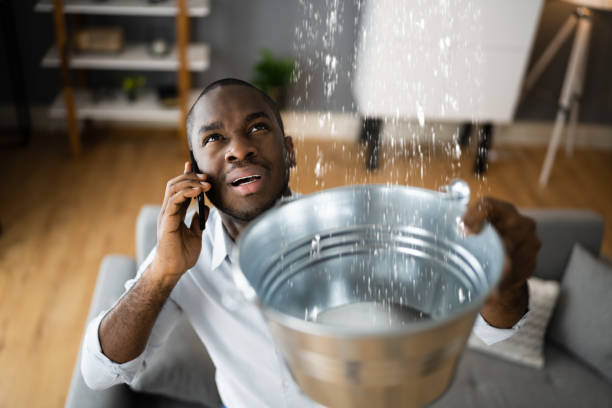 Best Mold removal after water damage  in Helena, AL
