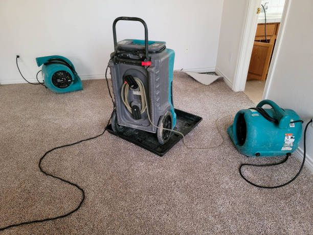 Best Flooded house restoration  in Helena, AL