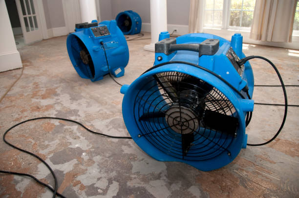 Best Local water damage restoration  in Helena, AL