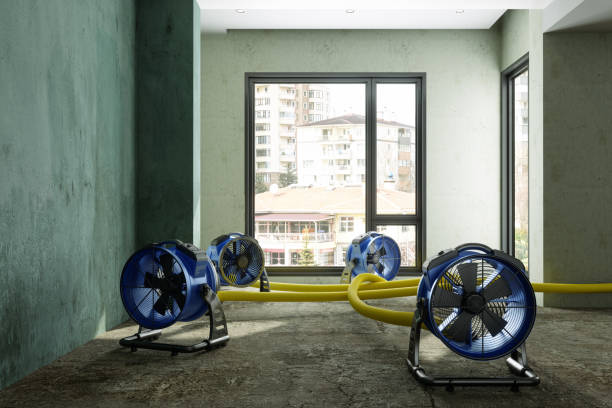  Helena, AL Water damage restoration Pros